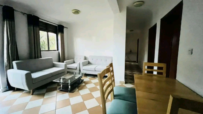 nyarutarama-near-mtn-furnished-apartment-for-rent-big-1