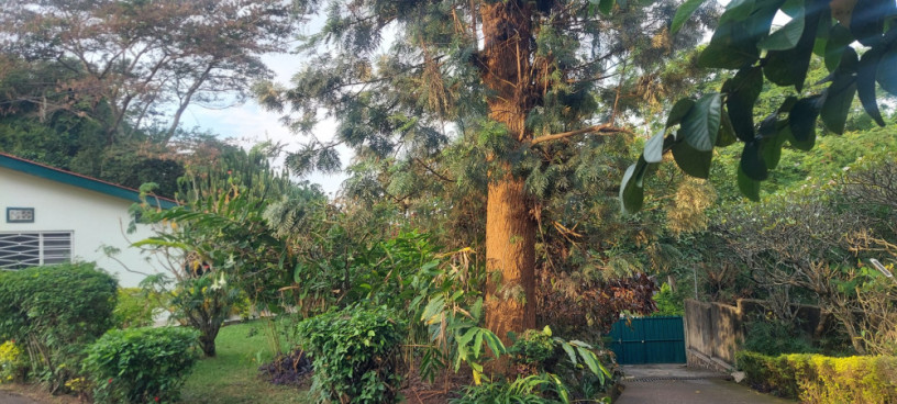 semi-furnished-house-available-for-rent-at-kiyovu-big-5