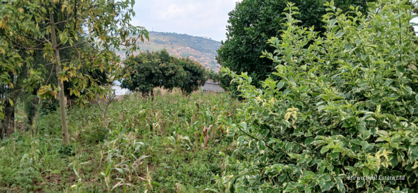 land-for-sale-at-kinyinya-big-5