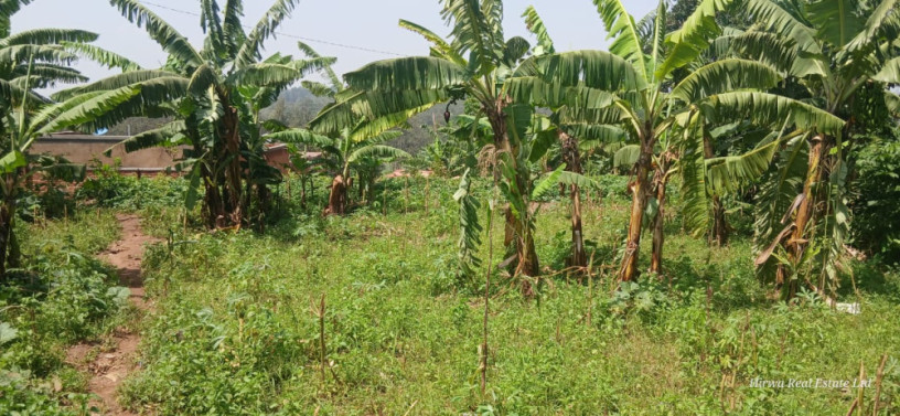 gisasa-plot-for-sale-big-5