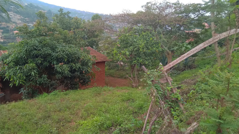 plot-for-sale-in-nyamirambo-mumena-big-9