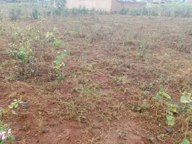 kigali-plots-for-sale-in-bugesera-kanzenze-big-4