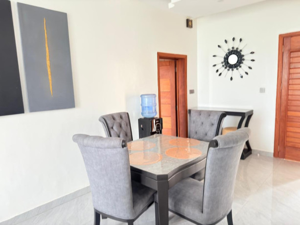 kimihurura-nice-furnished-apartment-for-rent-in-kigali-big-4