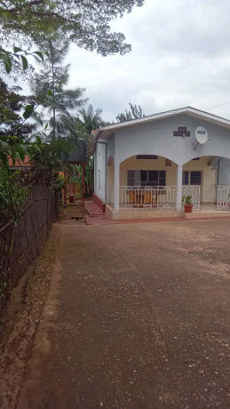 kigali-house-for-sale-in-rebero-big-8