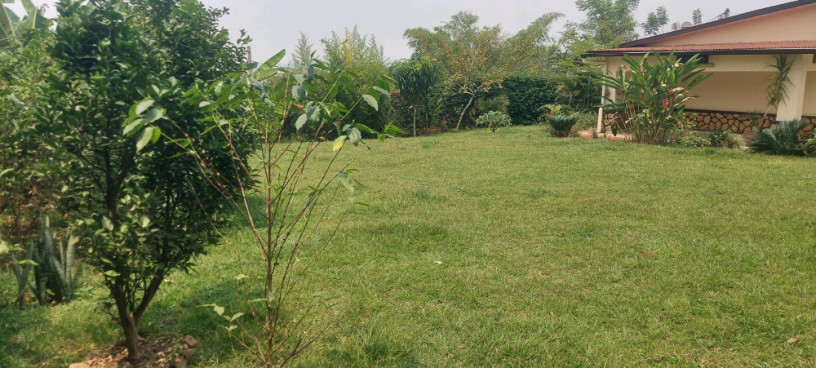 kigali-furnished-house-available-for-rent-in-kiyovu-big-5