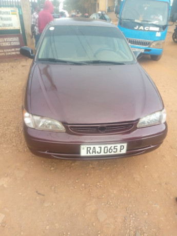 toyota-corolla-big-13