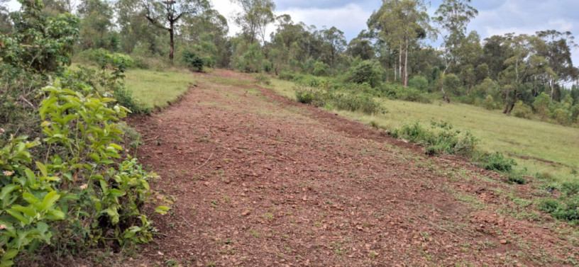 ubutaka-bugurishwa-burimo-ikinombe-cyamabuye-buri-ngoma-big-0