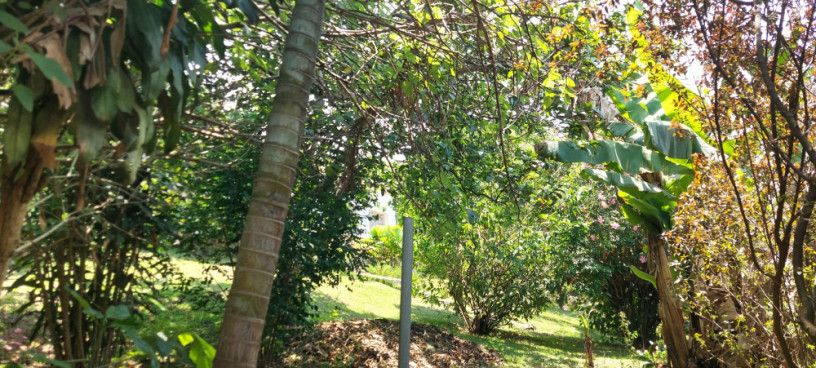 kigali-nice-house-available-for-rent-in-kacyiru-big-0