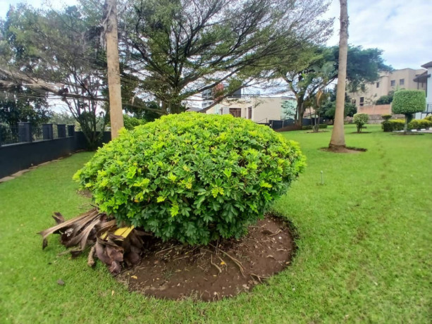 comercial-property-for-rent-in-kacyiru-prime-location-big-2