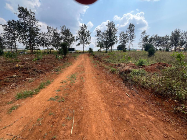 kanzenze-plots-for-sale-in-bugesera-big-6