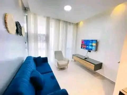remera-very-nice-fully-furnished-apartments-for-rent-in-best-neighborhood-big-1