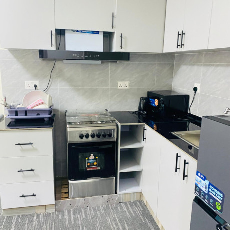 apartment-full-furnished-vip-for-rent-ndera-big-5