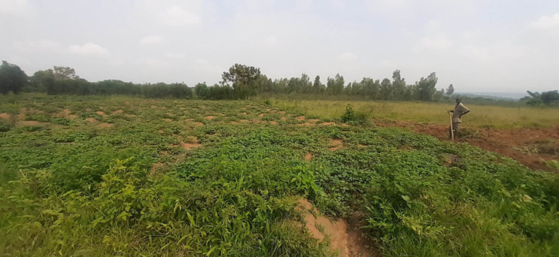 plot-for-sale-in-bugesera-near-airport-hot-deal-big-0
