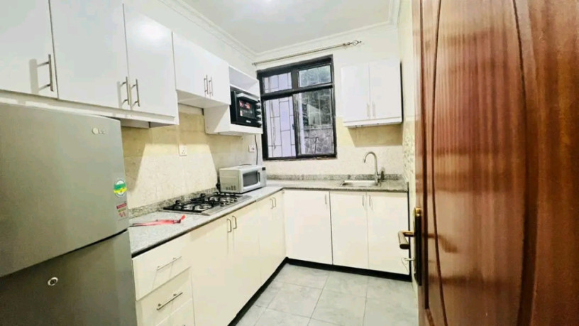 nyarutarama-near-mtn-furnished-apartment-for-rent-big-2