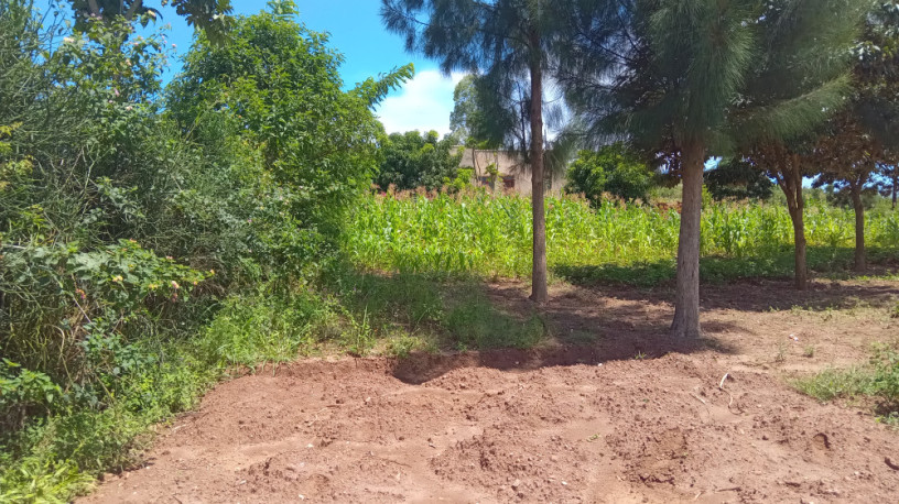 large-plot-for-sale-in-bugesera-big-3