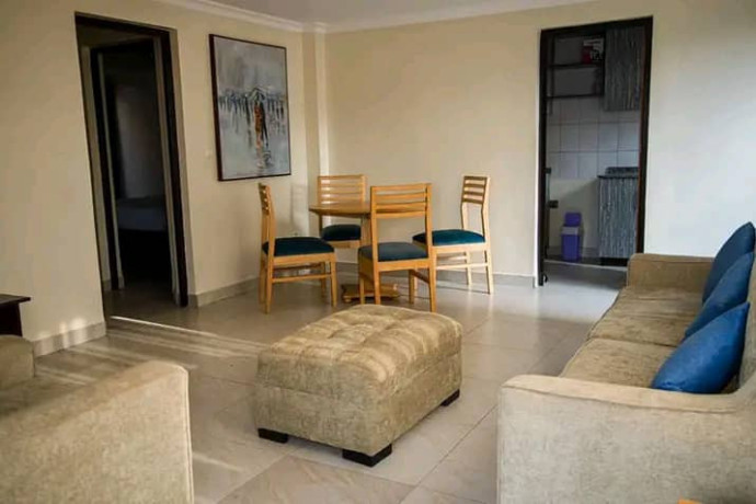 remera-close-to-rdb-very-nice-fully-furnished-apartments-for-rent-with-amazing-views-of-kigali-big-1