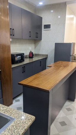 4-kibagabaga-kibagabaga-very-nice-well-furnished-apartment-for-rent-big-13