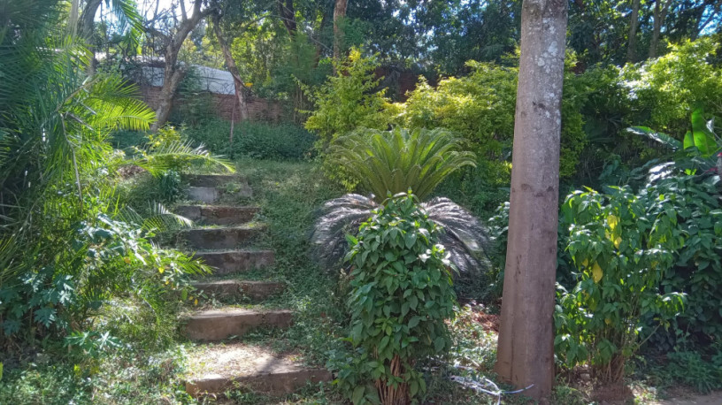 kiyovu-plot-for-sale-big-7