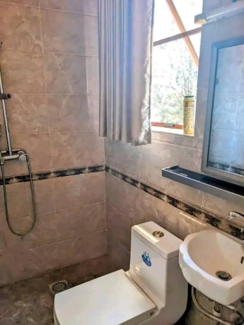 remera-2-bedroom-furnished-apartment-for-rent-in-kigali-big-5