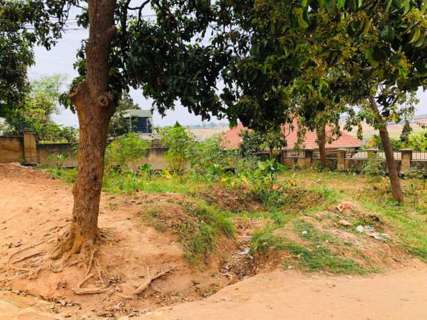 kagugu-plot-for-sale-big-6