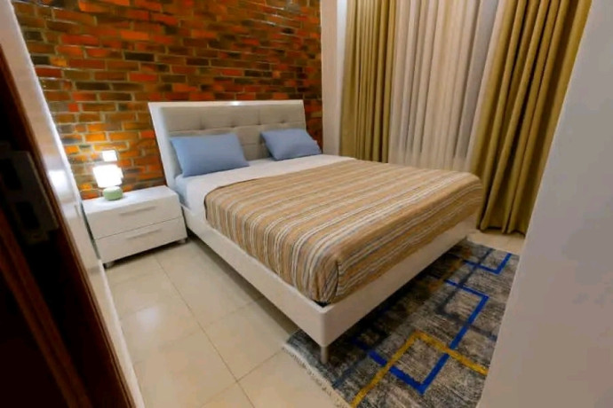 remera-fully-furnished-apartment-for-rent-in-kigali-big-1