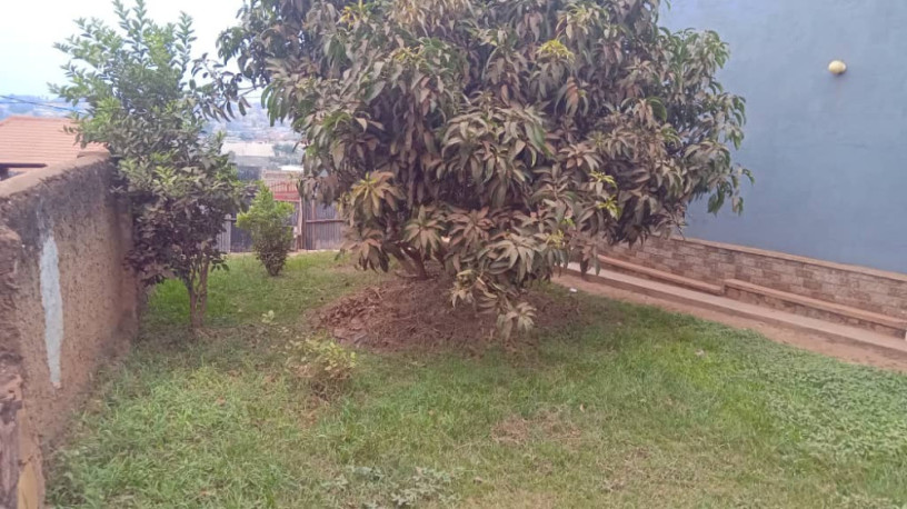 kigali-land-with-an-old-house-for-sale-in-gatenga-kicukiro-big-3