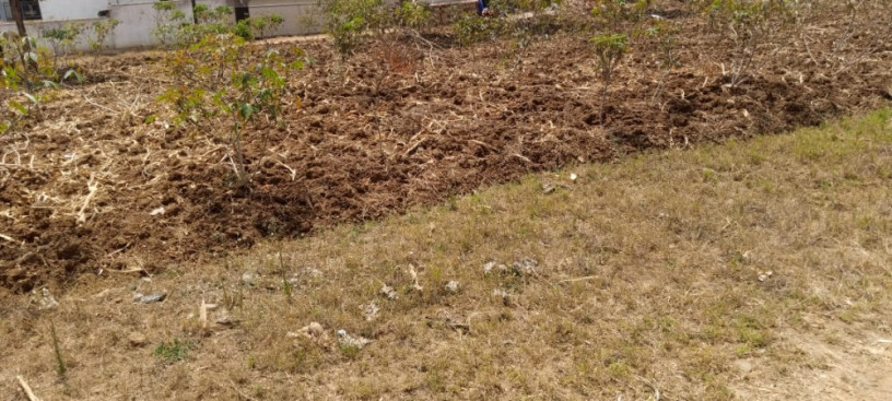 busanza-plot-for-sale-big-1
