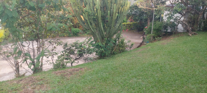 semi-furnished-bungalow-available-for-rent-at-kiyovu-big-2