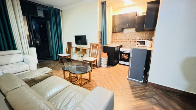 remera-3bath-2bath-at-800k-furnished-apartment-for-rent-call-big-2