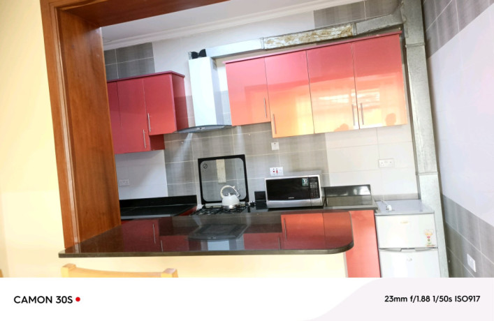 kimoronko-furnished-apartment-for-rent-in-kigali-big-4