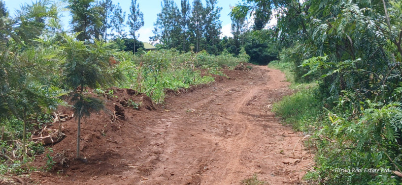 muyumbo-ntebe-plot-for-sale-big-4