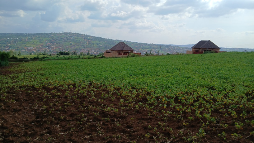 plot-for-sale-in-rusororo-big-2