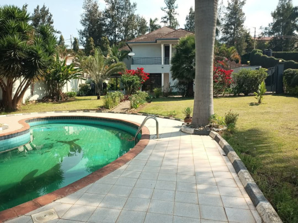 nyarutarama-very-well-furnished-house-for-rent-with-swimming-pool-in-kigali-rwanda-big-12