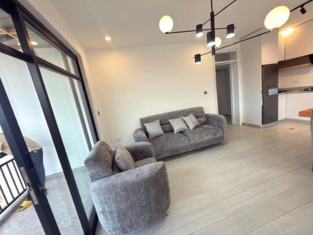 gacuriro-beautiful-furnished-apartment-for-rent-in-kigali-big-8