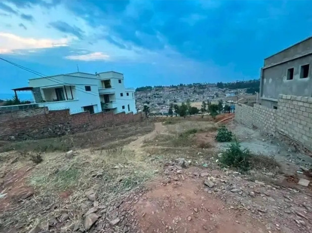 kagugu-big-3