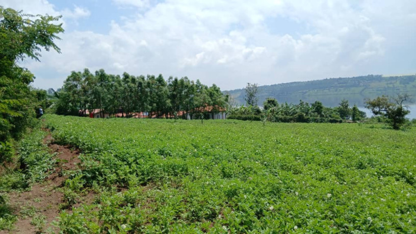 gatsibo-muhazi-plot-for-sale-big-10