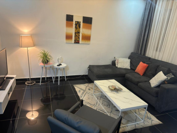 ep-133-kibagabaga-kibagabaga-very-nice-and-cheapest-well-furnished-house-for-rent-big-11