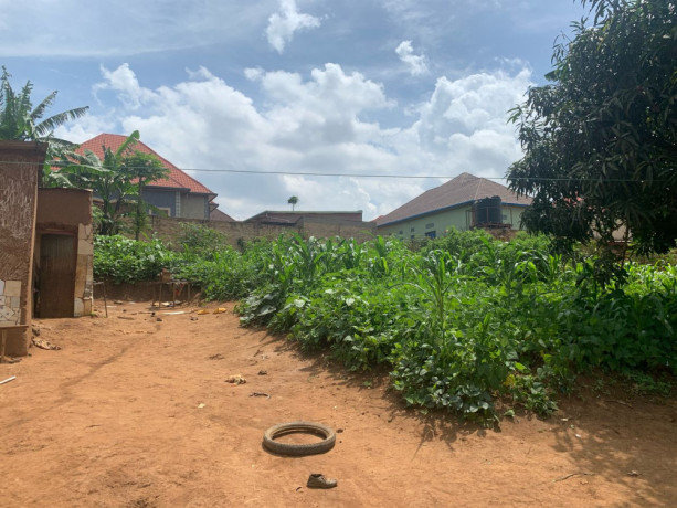 ep-098-masaka-masaka-very-biggest-and-cheapest-plot-for-sale-with-2-upi-big-2