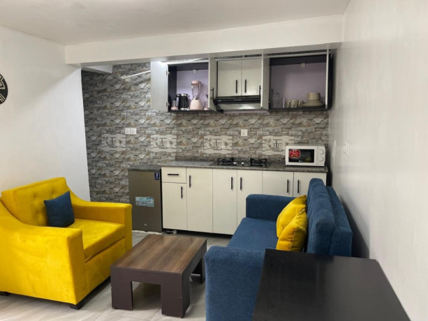 kigali-nice-fully-furnished-apartment-for-rent-in-kanombe-big-1