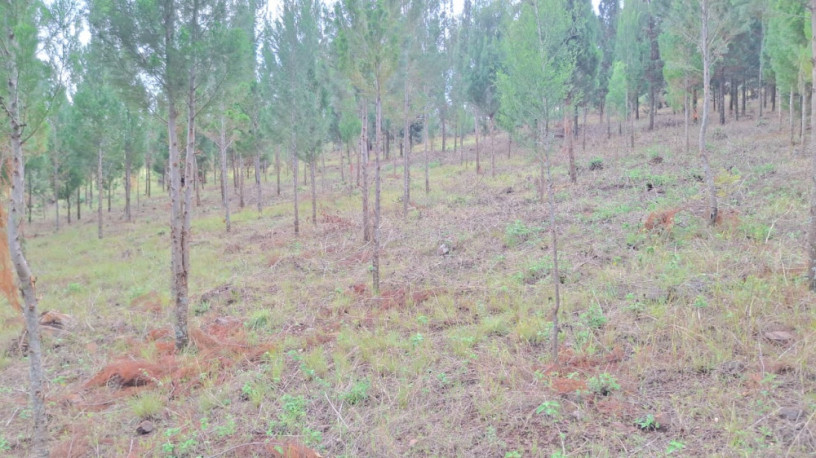 ubutaka-bugurishwa-burimo-ikinombe-cyamabuye-buri-ngoma-big-1