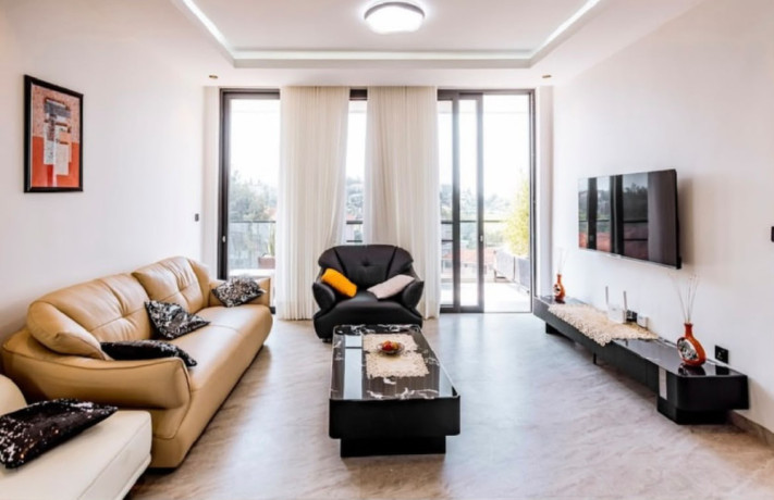 pm-008-nyarutarama-nyarutarama-very-nice-luxurious-apartment-for-rent-big-1