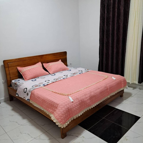 fully-furnished-house-for-rent-in-kimironko-near-olympic-hotel-big-7