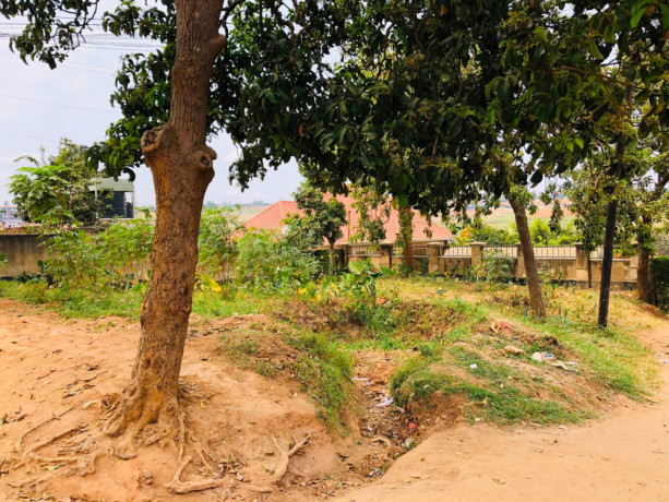 kagugu-plot-for-sale-big-4