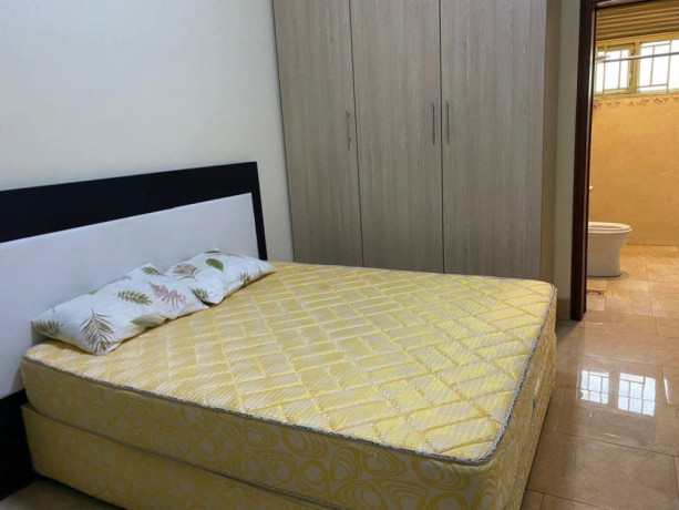 remera-fully-furnished-apartment-for-rent-in-kigali-big-2