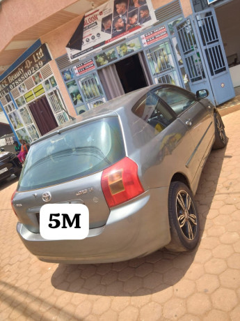 corolla-big-1