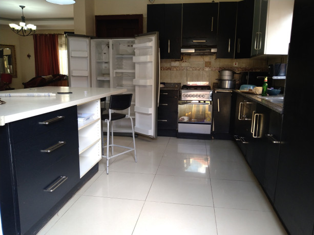 full-furnished-house-for-rent-big-1