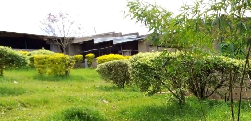 houses-in-a-hectare-of-land-for-sale-in-nyagatovu-mukarange-kayonza-factory-area-big-2