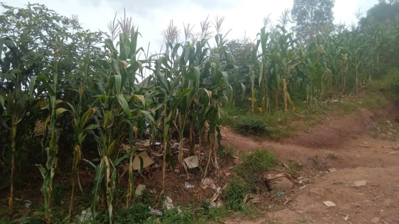 kigali-land-for-sale-in-gisozi-big-6