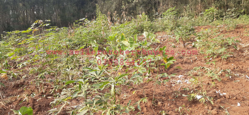 industrial-land-for-sale-in-bugesera-near-airport-of-rwanda-big-0