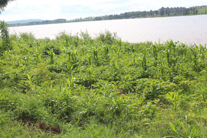 land-for-sale-in-bugesera-near-airport-access-on-lake-big-0